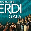 Image 1: 2 Tickets für Die große VERDI Gala mit Cristian Lanza vom 7.-11.02.26