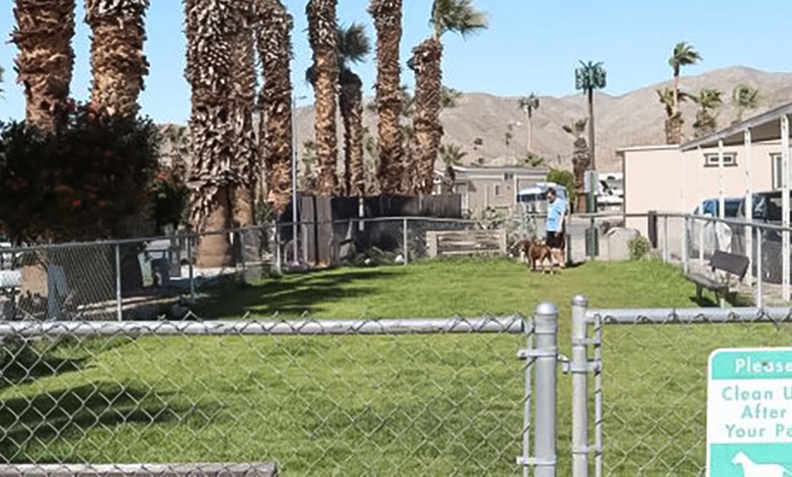 Image 11: Chlorine-Free Mineral Pool Any-Day Passes for One, Two or Four 