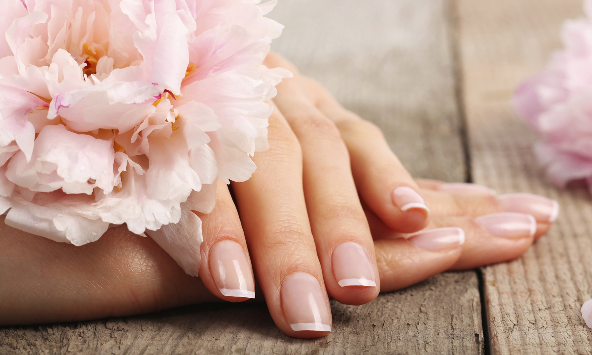 Polished Dip Manicure, Gel Pedicure or Long-Lasting Gel-X Nail Set 
