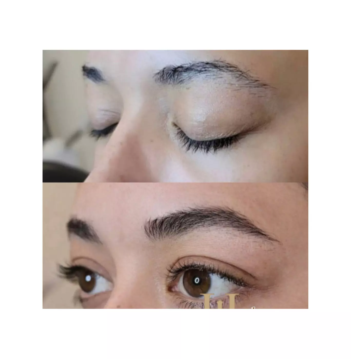 Nano/3D Microblading, Ombre/Powder Brows, or Lip Blush Session