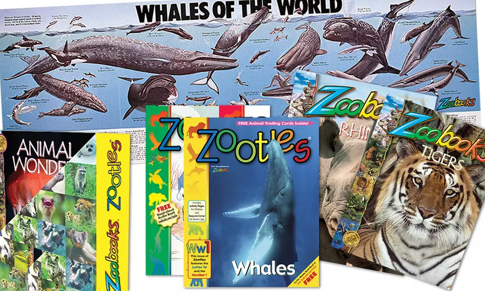 Zootles & Zoobooks Learning Club Introductory Sets (Up to 83% Off)   - Primary Image