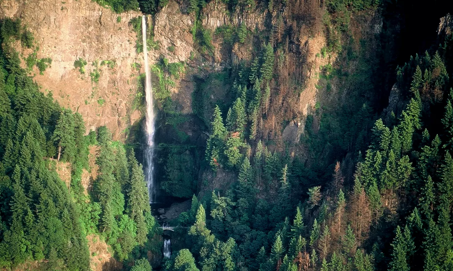 Breakfast, Lunch, or Dinner at Multnomah Falls Lodge (Up to 49% Off) - Primary Image