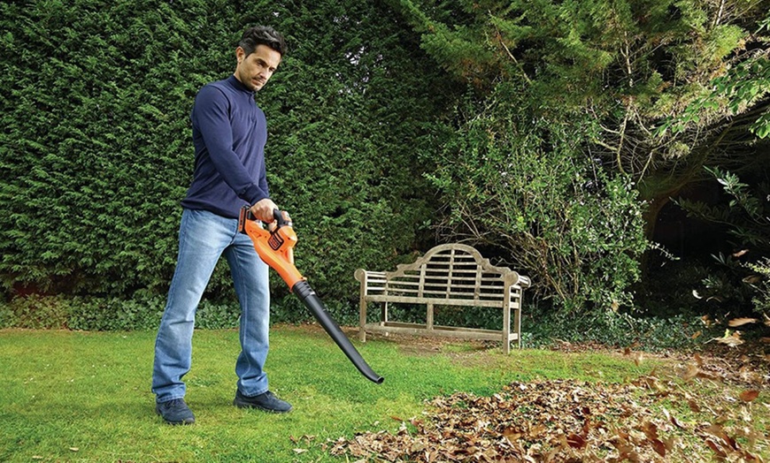 Image 5: Soplador de hojas de Black & Decker