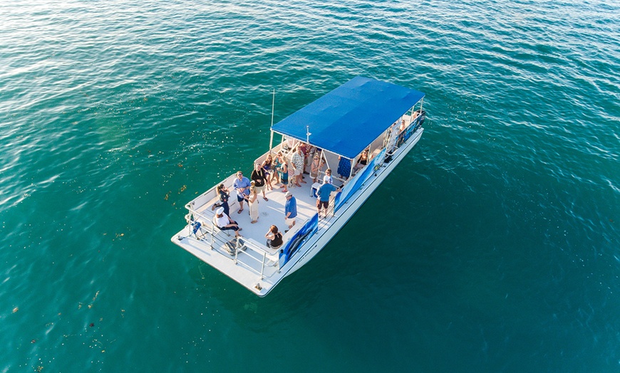 Image 3: Key West Dolphin Watch & Snorkel Tour