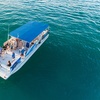 Image 3: Key West Dolphin Watch & Snorkel Tour