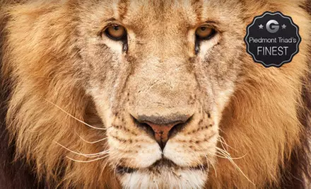 $14 for a Guided Public Wild-Animal Tour at Conservators' Center ($28 Value) - Primary Image
