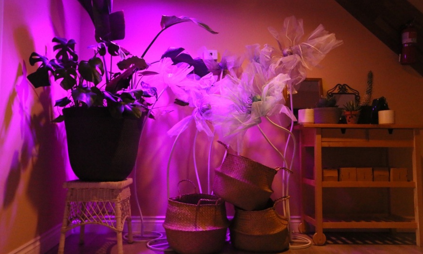 Image 2: Couples massage bliss—Choose 60, 90, or 120 minutes of relaxation!