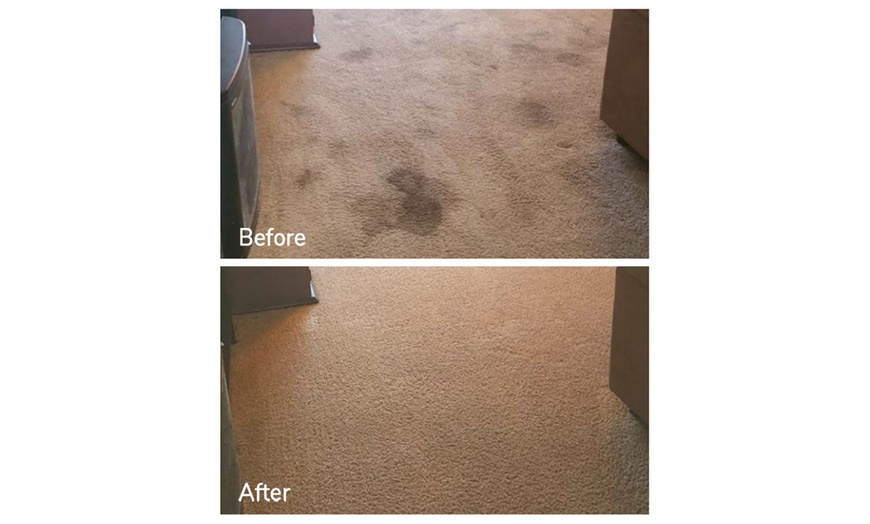 Image 2: Expert Rug Cleaning with Convenient Services 