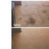 Image 2: Expert Rug Cleaning with Convenient Services 