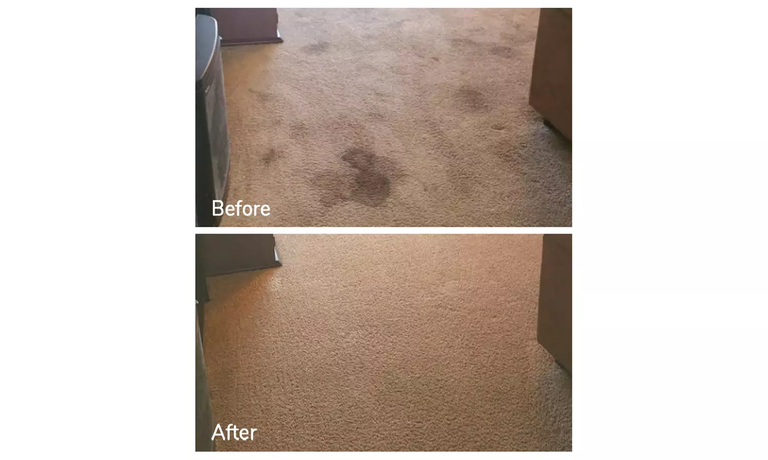 Expert Rug Cleaning with Convenient Services 