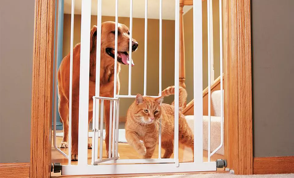 Extra-Tall Walk-Through Gate with Small Pet Door - Primary Image