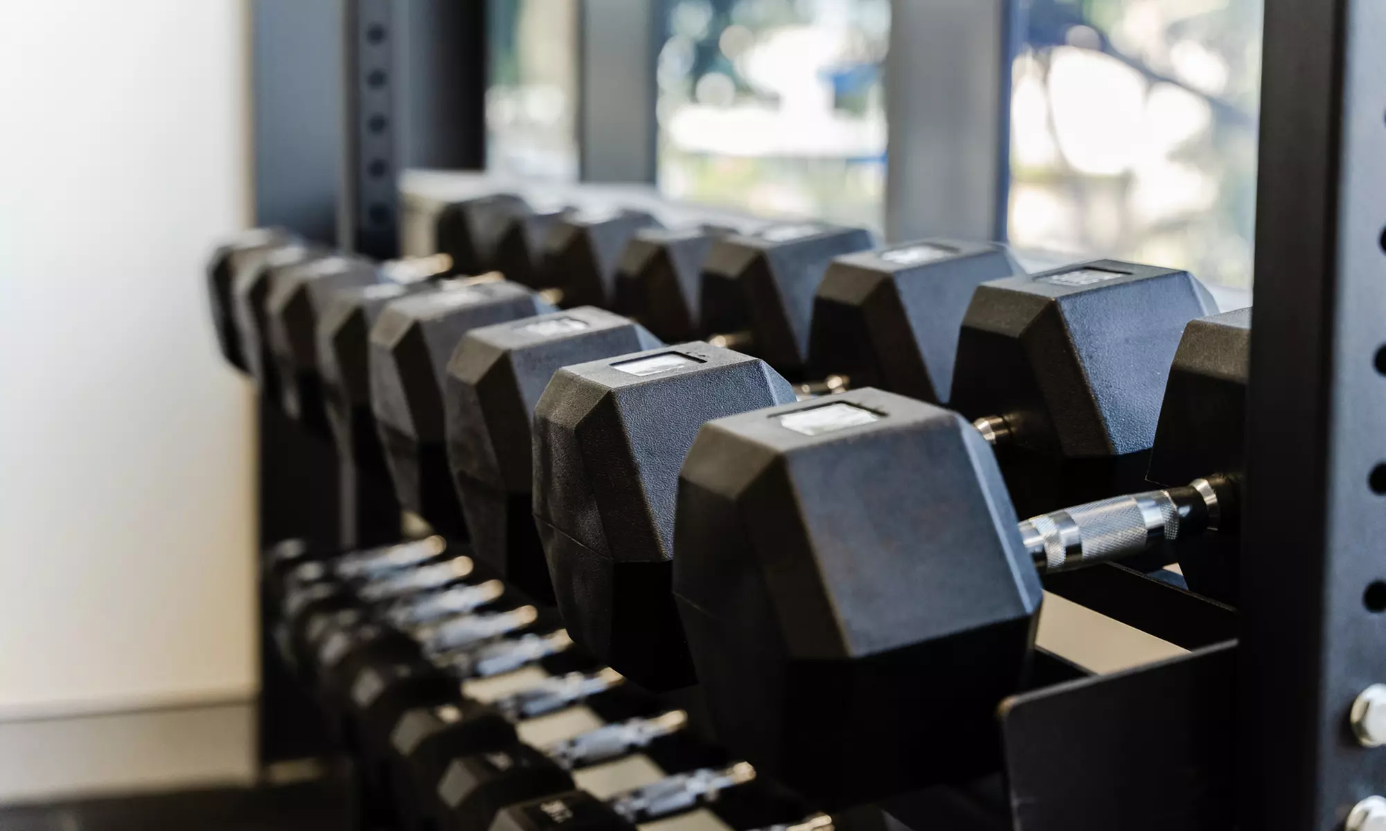 Full day of bouldering with shoe rental at Beta One Bouldering Gym