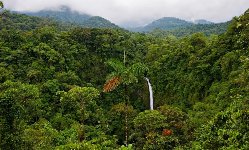 Image 3: ✈ 8-Day Tour of Costa Rica with Air from Great Value Vacations
