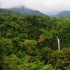 Image 3: ✈ 8-Day Tour of Costa Rica with Air from Great Value Vacations