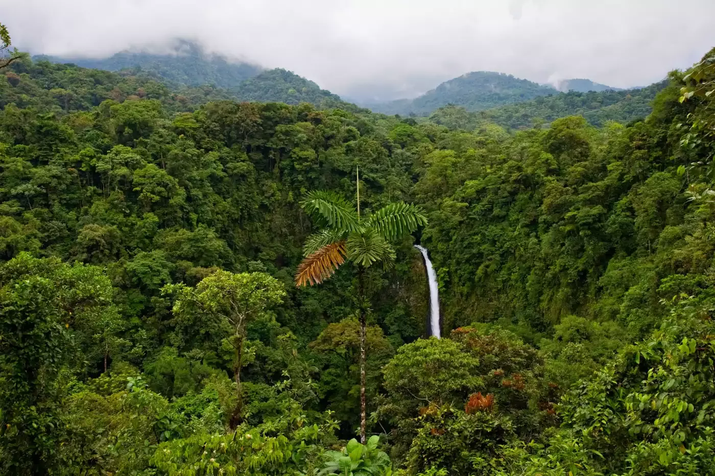 ✈ 8-Day Tour of Costa Rica with Air from Great Value Vacations