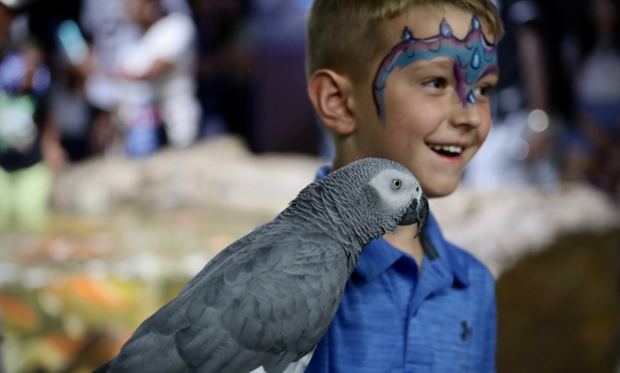 Image 3: Explore the Wonders of the Sea at San Antonio Aquarium