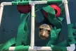 Explore Marine Mammal Rescue: Admissions & Guided Tours For 1, 2, or 4 (Up to 48% Off) - Second Medium