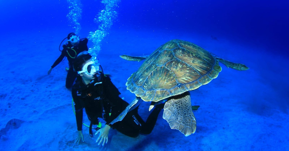 Bautismo de buceo con reportaje fotográfico en Tenerife