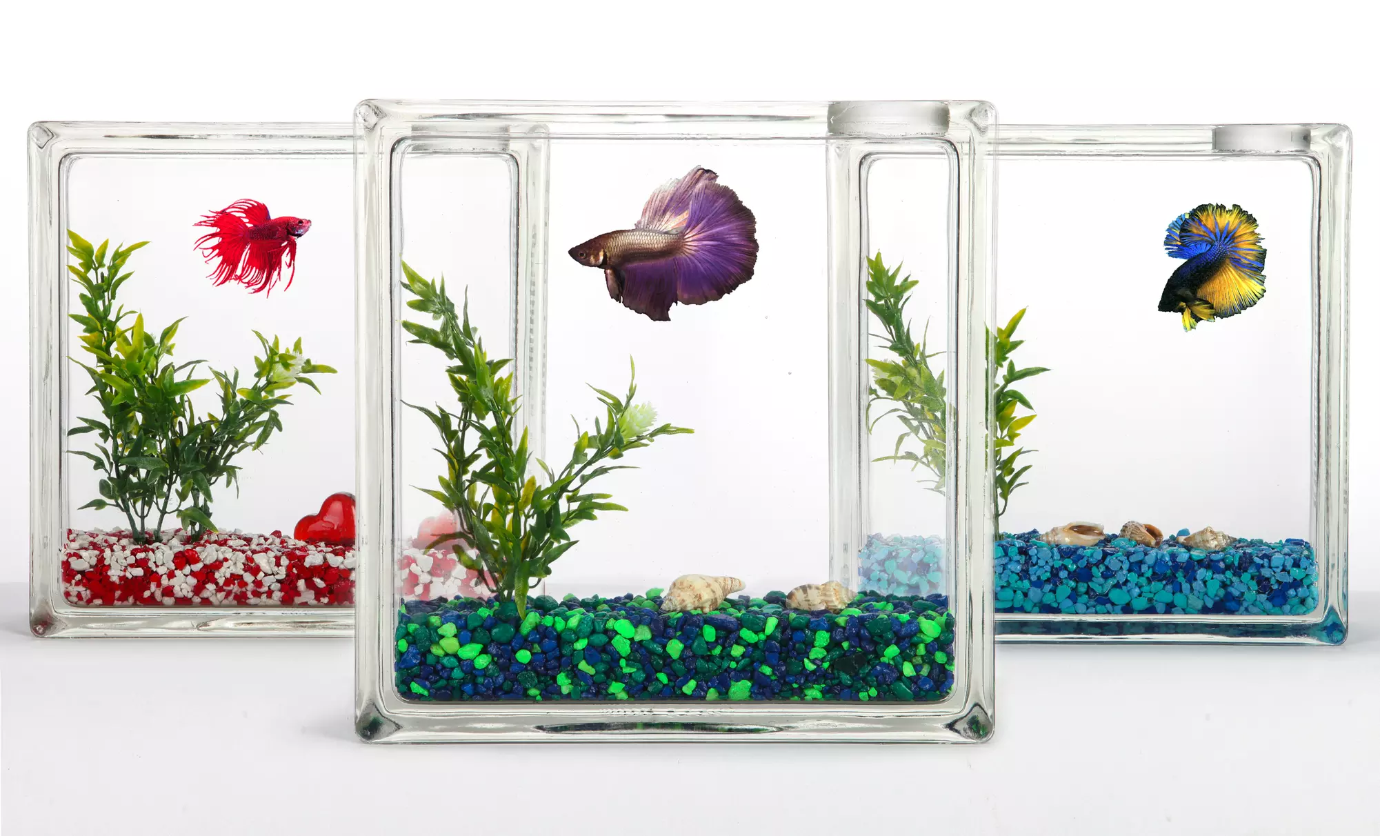 AquaBlock Fish Tank - Primary Image