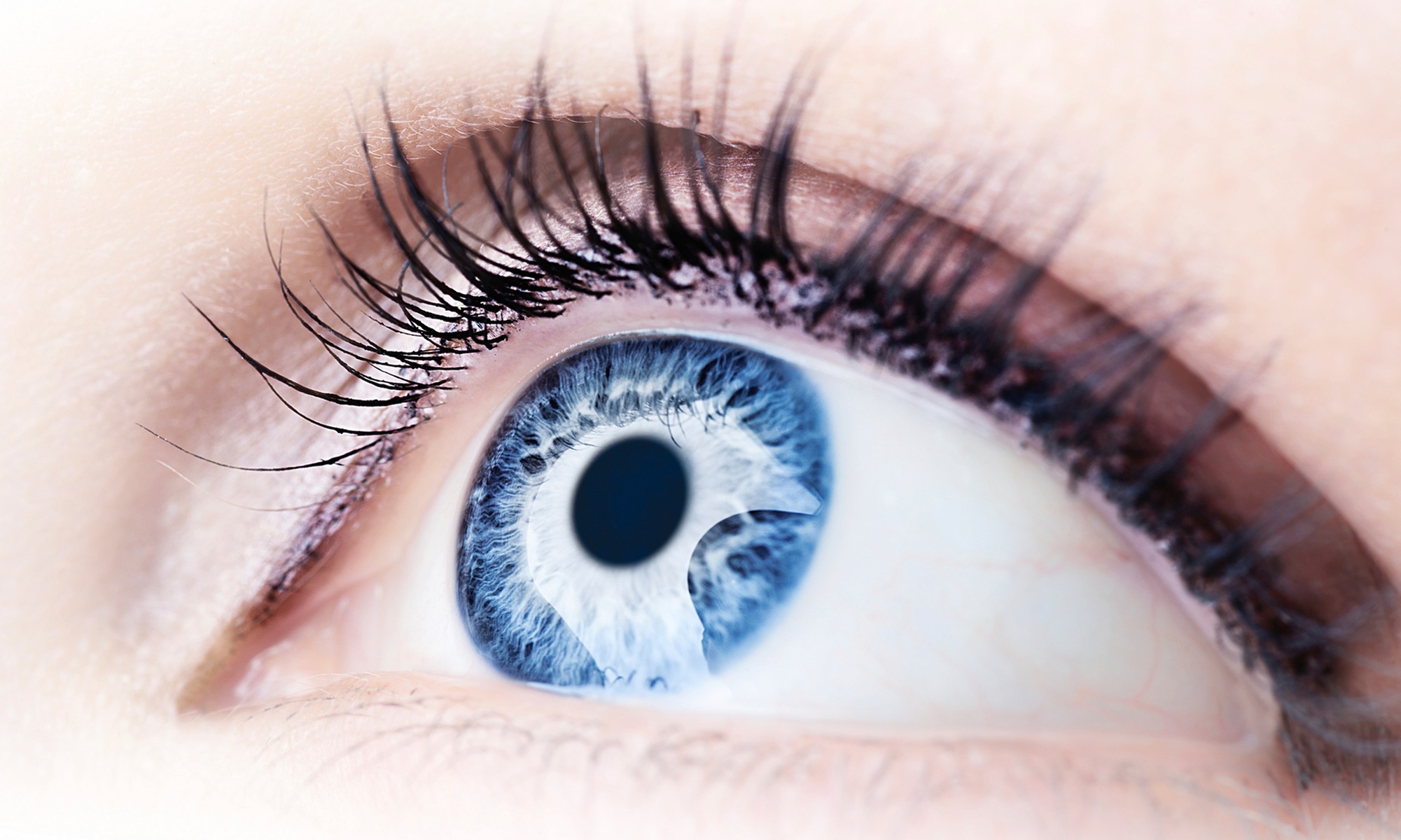 Enhance Your Look with a Keratin Lash Lift and More