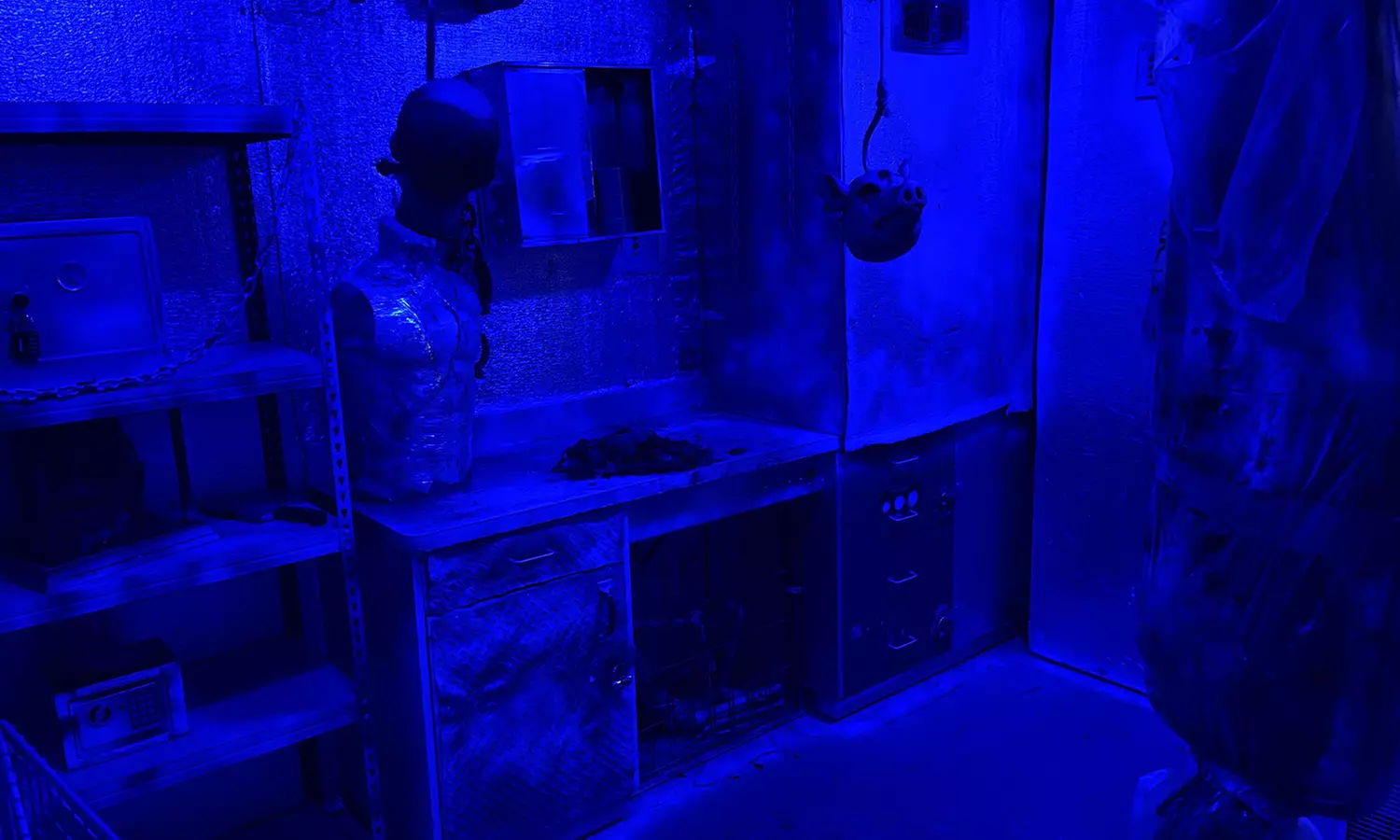 Thematic Escape Rooms (Pirates to Black Mirror) For 4, 5, 8, 10 People