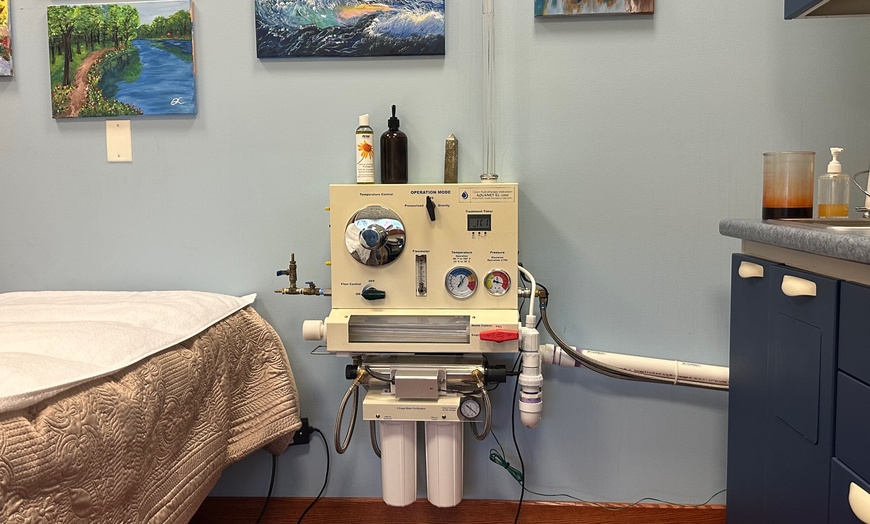 Image 6: Colon Hydrotherapy Sessions for Cleansing & Wellness