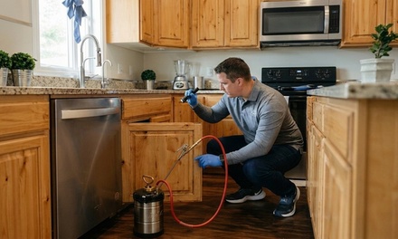Mosquito Treatment - BAM Pest Control