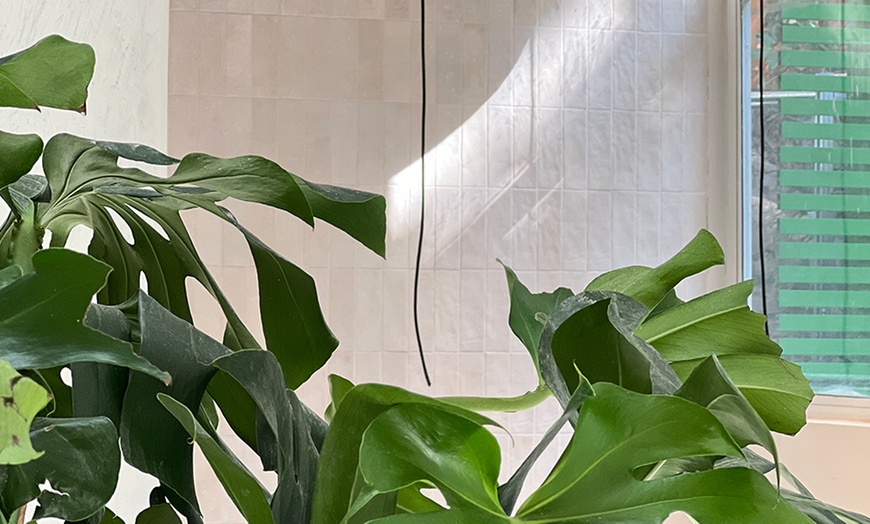 Image 6: Par Iniciación, Silka, Vapor Clásico, Beauty, Vulkan o Novo en Banya