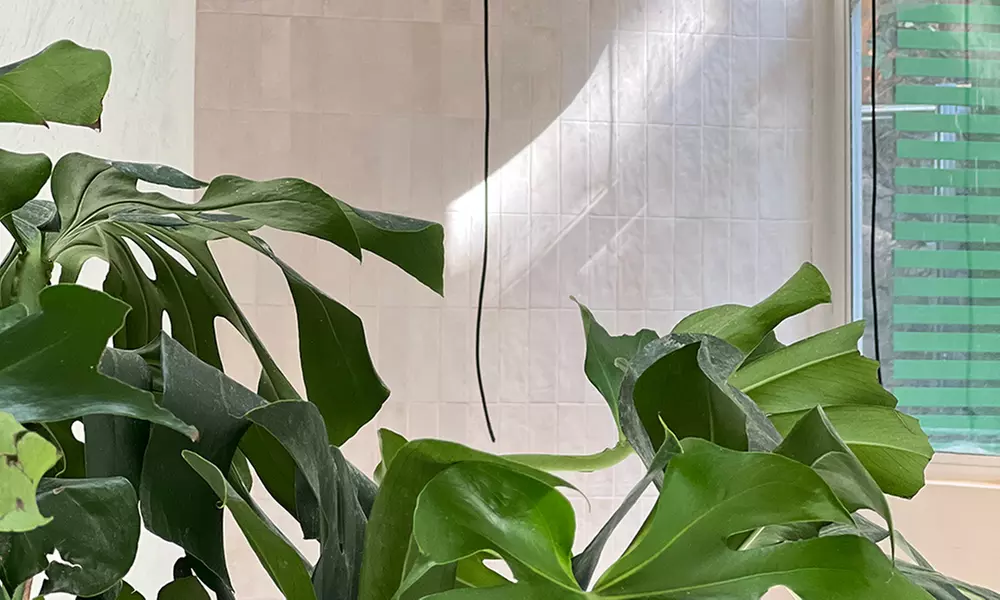 Par Iniciación, Silka, Vapor Clásico, Beauty, Vulkan o Novo en Banya