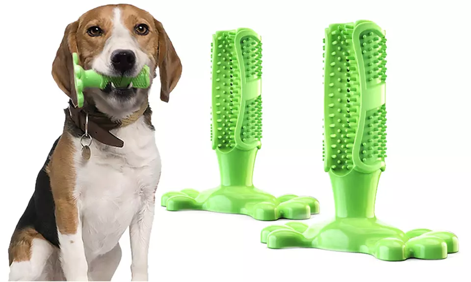 Brosse à dents hygiène buccale pour chien différentes tailles - Primary Image