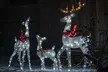 Join the Festive Holiday Lights Tour: Adult or Child Admission Passes to the Knights of Lights ( Up to 25% Off ) - Second Medium