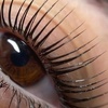 Image 1: Korean Lash Lift with Cysteamine Tech for Stronger, Defined Lashes