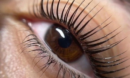 Korean Lash Lift, Nutricion and Tint - Venturini Aesthetics
