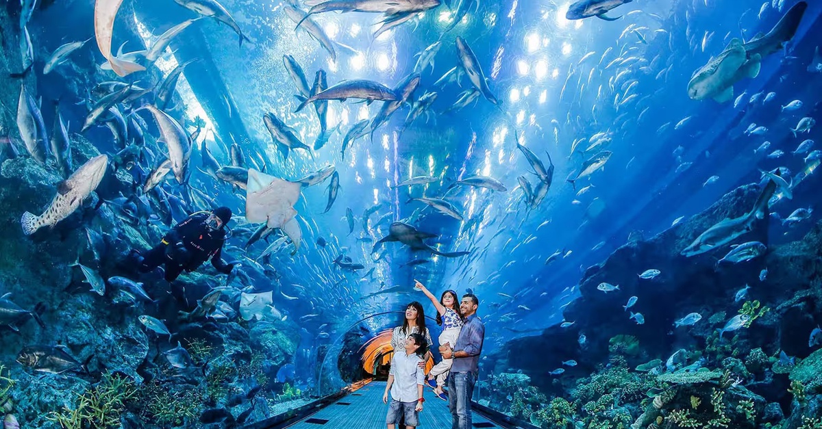Dubai Aquarium And Dubai Frame Entry Tickets For 1, 2 Or 4 Adults Dubai Aquarium And Dubai Frame Entry Tickets For 1, 2 Or 4 Adults