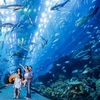 Image 6: Dubai Aquarium and Dubai Frame Entry Tickets for 1, 2 or 4 Adults