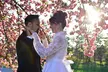 Photolocity Offers 30 or 60-Minute Seasonal Cherry Blossom On-Location Photography Session (Up to 55% Off) - Second Medium