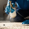 Image 3: Deep Carpet Cleaning for 3, 4, or 5 Rooms or Full Pest Control Service