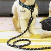 Image 1: 5 FT Dog Leash Reflective Nylon Rope Pet Running Tracking Leashes