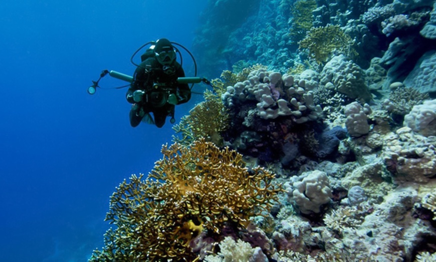 Image 3: Entdecke die Unterwasserwelt: Open-Water-Diver- oder Nitrox-Kurs