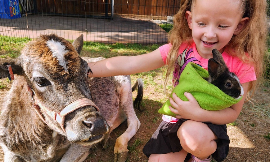 Image 2: Petting Zoo & Mobile Animal Encounters – Fun for All Ages