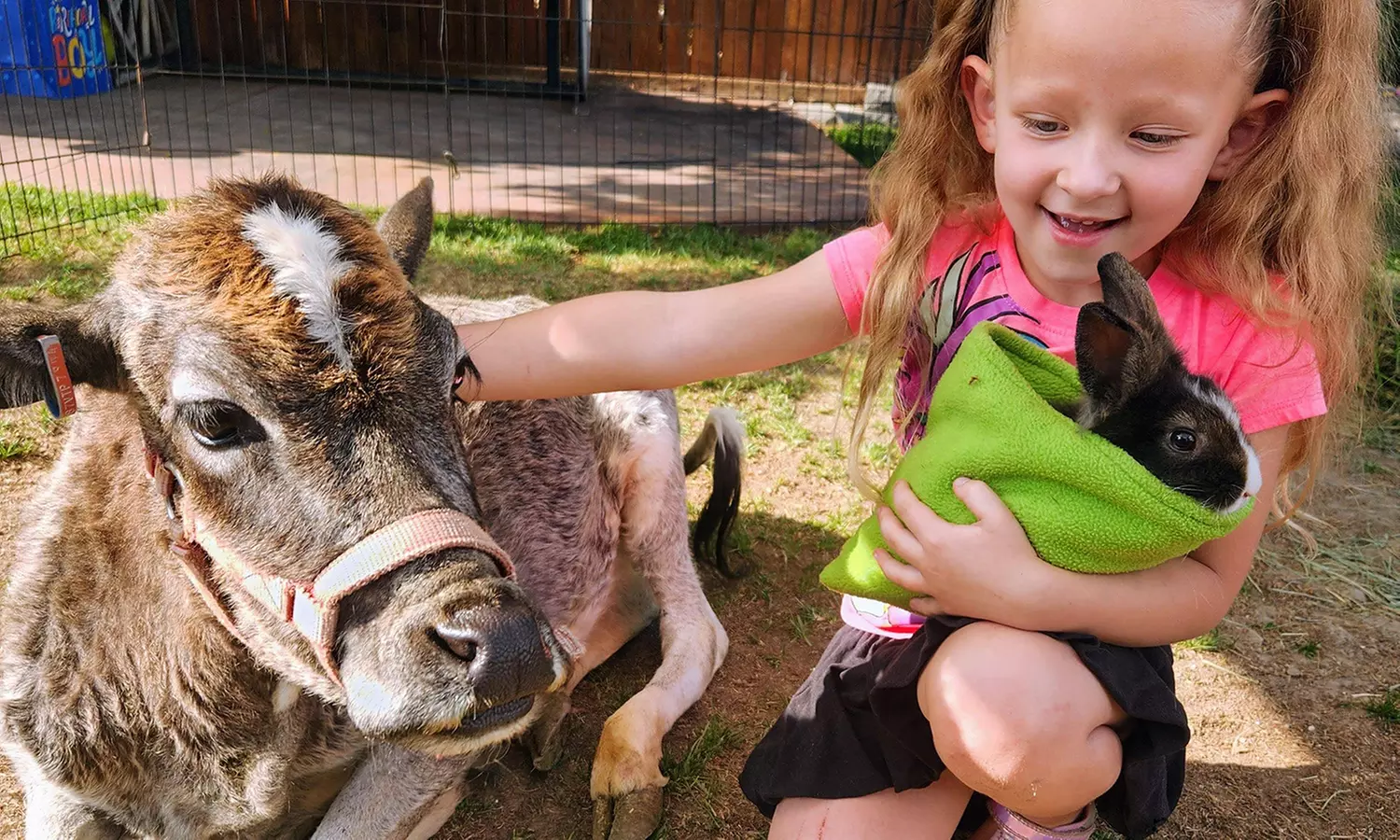 Petting Zoo & Mobile Animal Encounters – Fun for All Ages