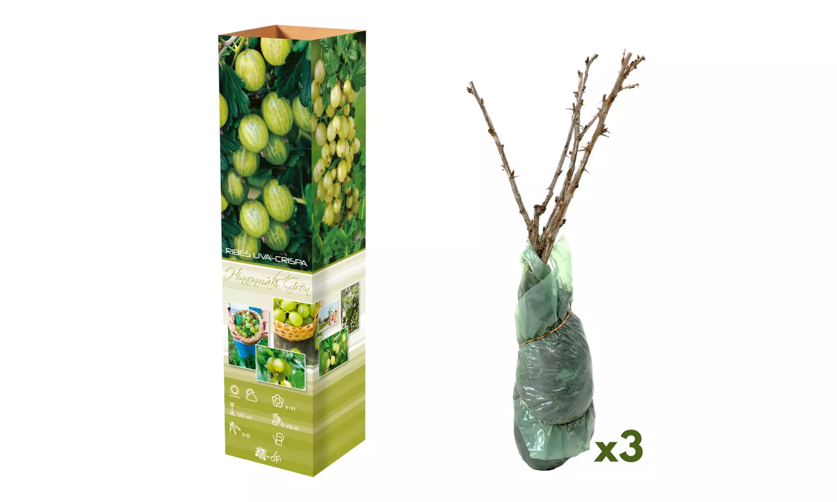 Pack de grosellas a elegir de Gardenzo