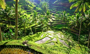 Ubud: Guided Day Excursion with Private Transfers