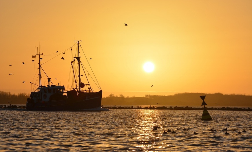 Image 13: Insel Fehmarn: 2–5 Nächte mit Frühstück und Parken