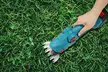 iMounTEK Cordless High-Reach Hedge Trimmer & Grass Shear Electric Pruner - Second Medium