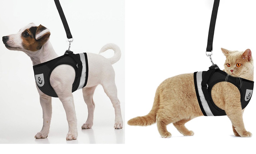 Image 8: No-Pull Hand Strap Dog Cat Vest With Dog Leash Pet Collar Adjustable Harness