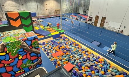 Open Gym (Free play) Two-Hour Session for 1 - The Jungle Movement Academy Round Rock, Texas