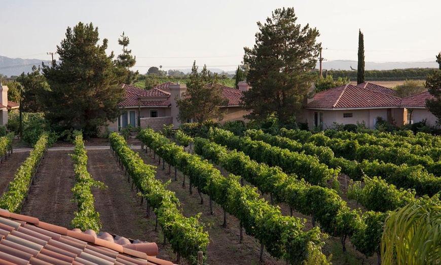 Image 3: Member-Only Deal: Sip, spa & stay - Temecula vineyards