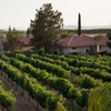 Image 3: Member-Only Deal: Sip, spa & stay - Temecula vineyards