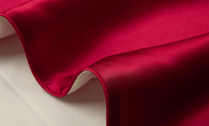 Image 50: Mulberry Silk Beauty Pillowcase Duo